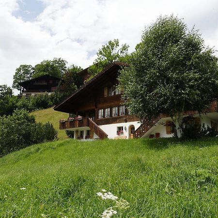 Chalet Unter Dem Stein Grindelwald Esterno foto