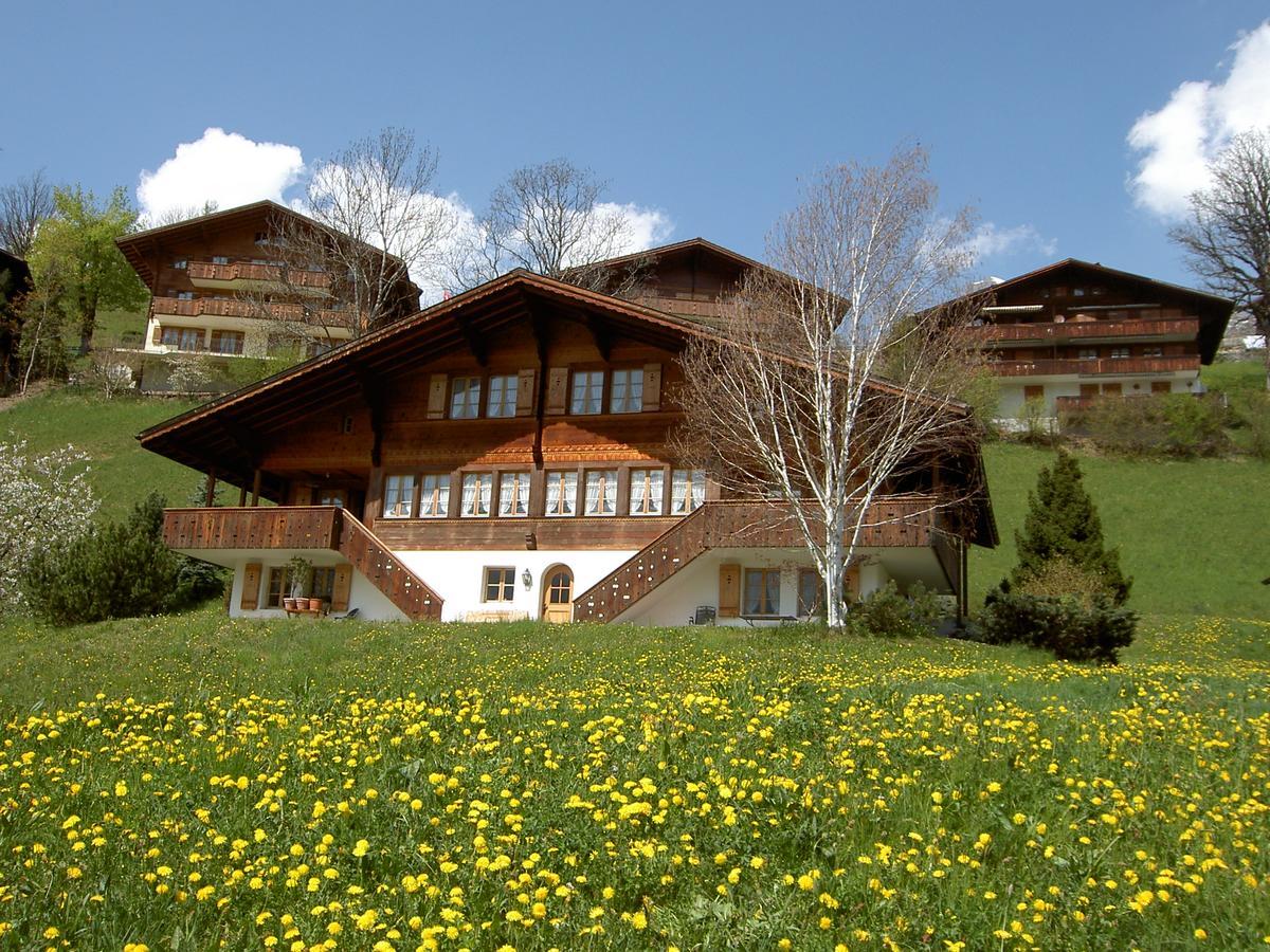 Chalet Unter Dem Stein Grindelwald Esterno foto