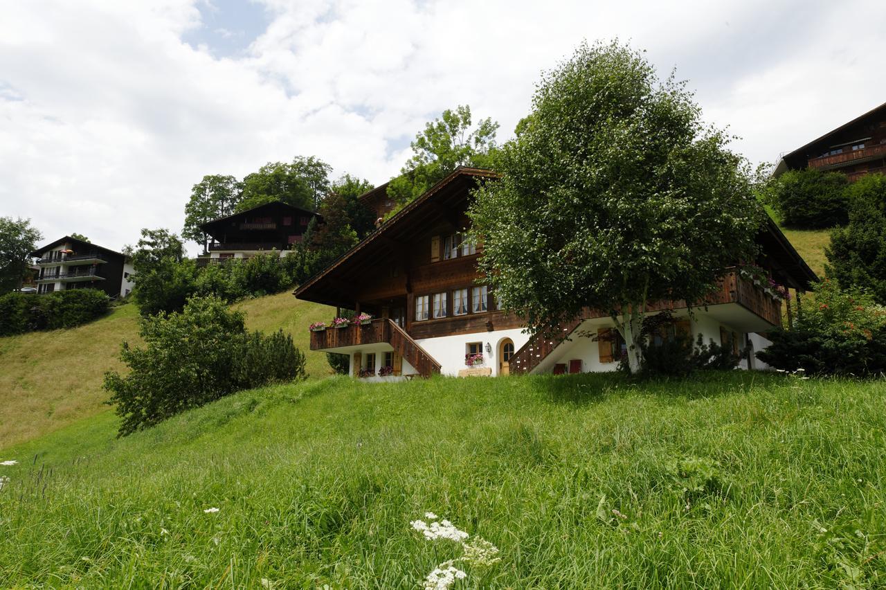 Chalet Unter Dem Stein Grindelwald Esterno foto